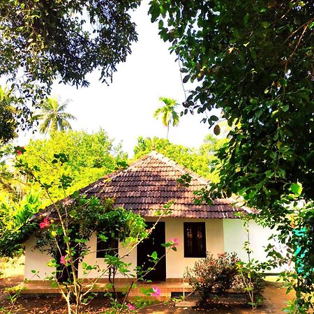 Munroe Inn Homestay 科兰 外观 照片