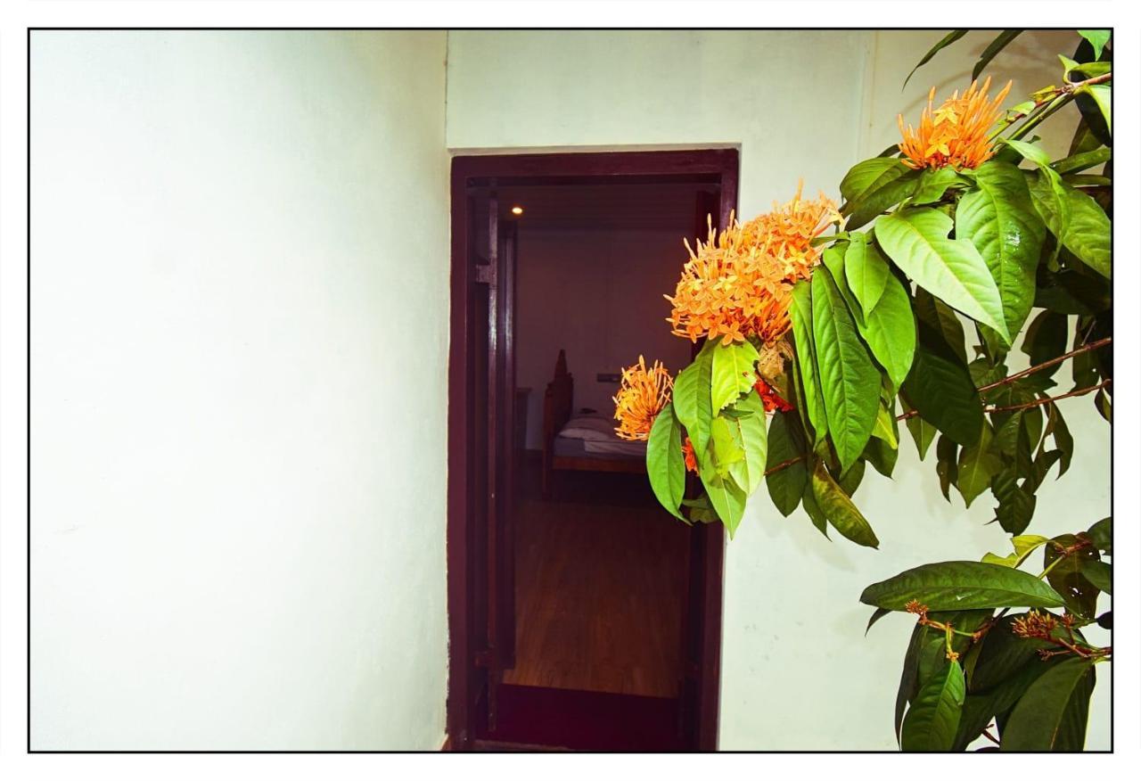 Munroe Inn Homestay 科兰 外观 照片