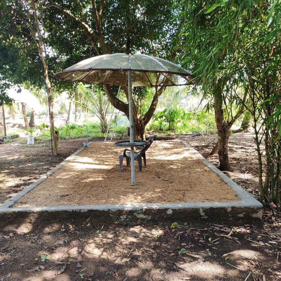 Munroe Inn Homestay 科兰 外观 照片