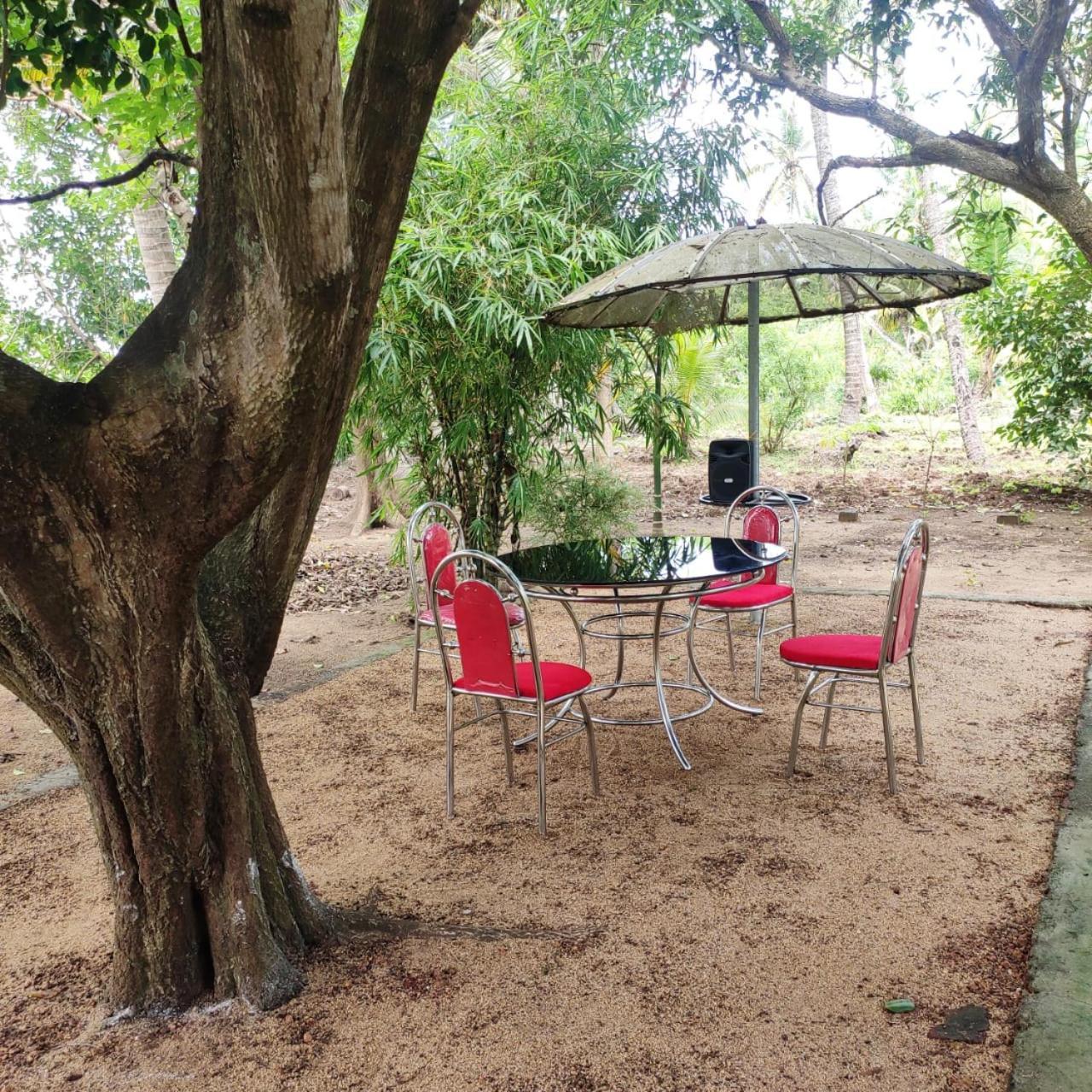 Munroe Inn Homestay 科兰 外观 照片